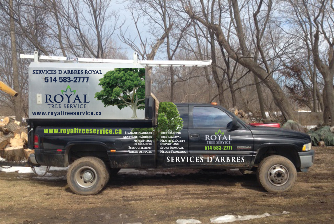 lettrage camion Royal Tree Service