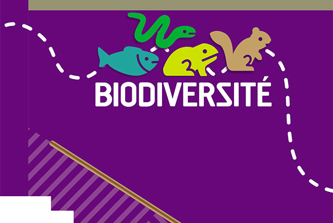 Zoo Ecomuseum